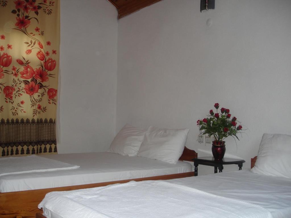 Engin Pension Çıralı 部屋 写真