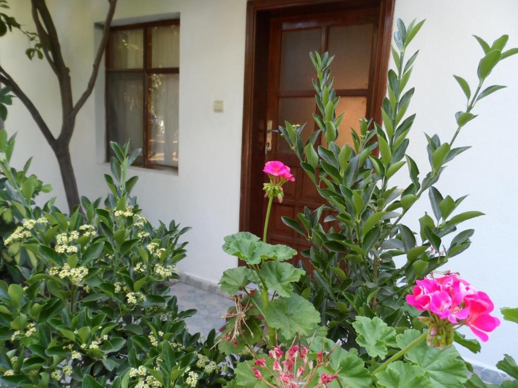 Engin Pension Çıralı 部屋 写真